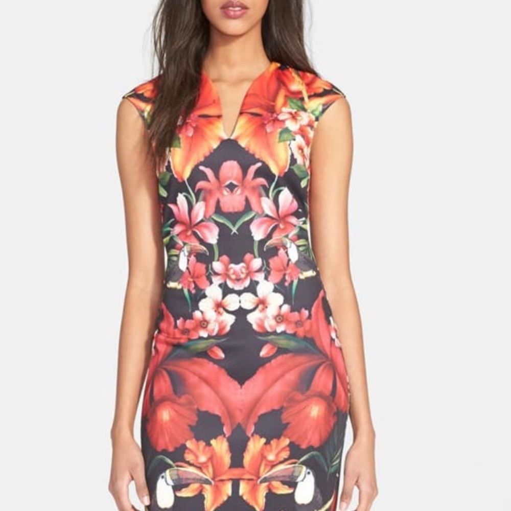 Ted baker bisimi dress